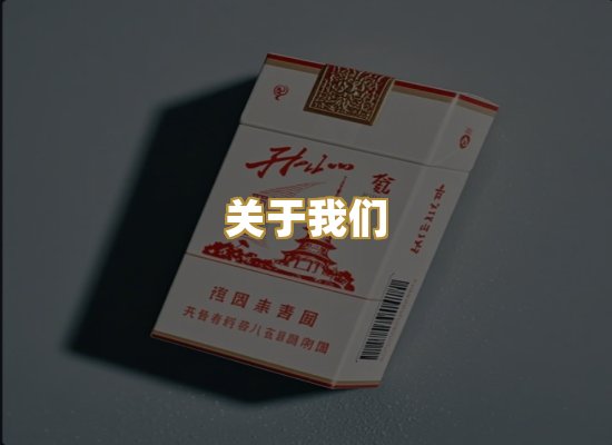 关于我们